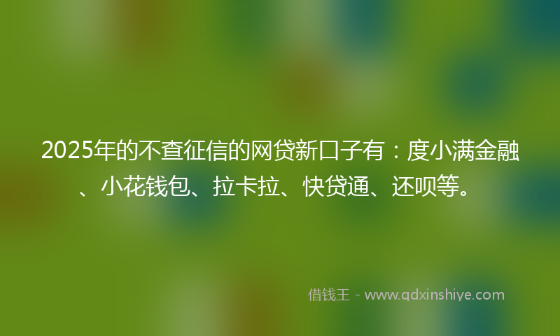 2025年的不查征信的网贷新口子有：度小满金融、小花钱包、拉卡拉、快贷通、还呗等。
