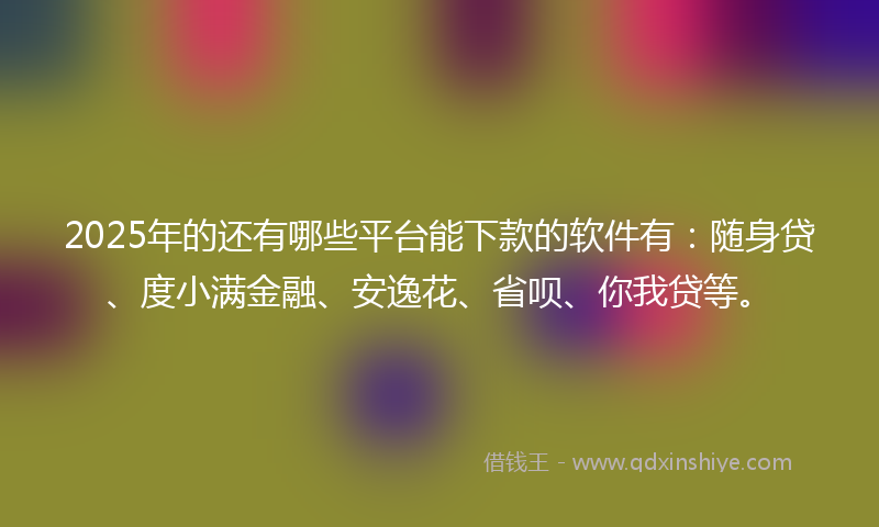 2025年的还有哪些平台能下款的软件有：随身贷、度小满金融、安逸花、省呗、你我贷等。