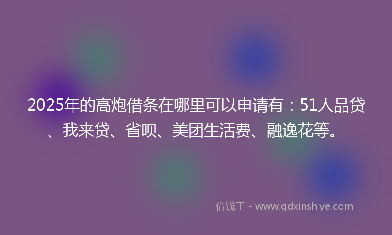 2025年的高炮借条在哪里可以申请有:51人品贷、我来贷、省呗、美团生活费、融逸花等。