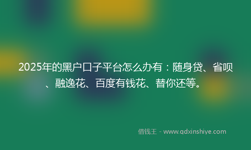 2025年的黑户口子平台怎么办有：随身贷、省呗、融逸花、百度有钱花、替你还等。