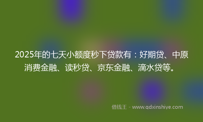 2025年的七天小额度秒下贷款有：好期贷、中原消费金融、读秒贷、京东金融、滴水贷等。