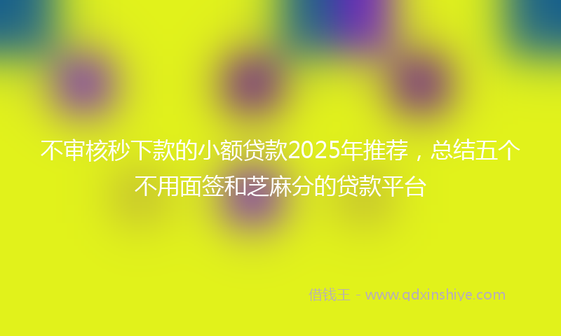 不审核秒下款的小额贷款2025年推荐，总结五个不用面签和芝麻分的贷款平台