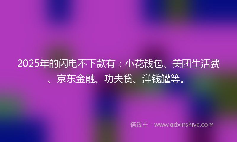 2025年的闪电不下款有：小花钱包、美团生活费、京东金融、功夫贷、洋钱罐等。