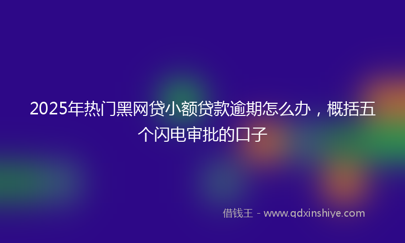 2025年热门黑网贷小额贷款逾期怎么办，概括五个闪电审批的口子