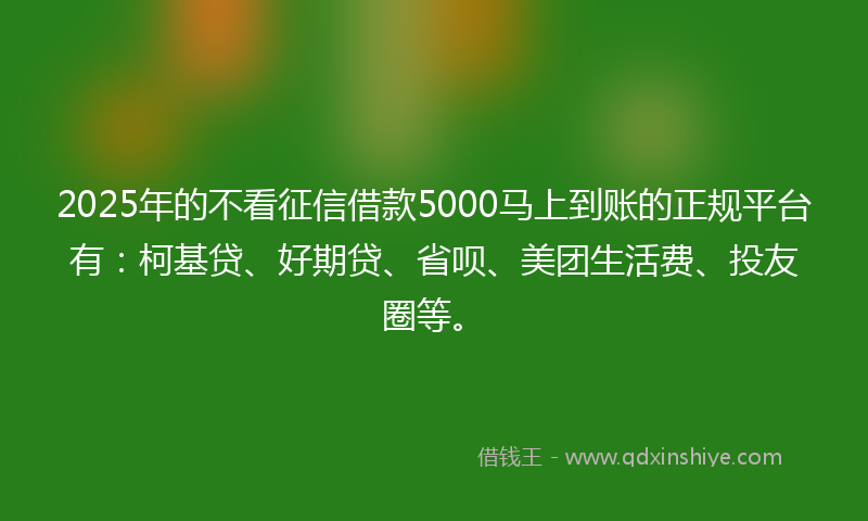 2025年的不看征信借款5000马上到账的正规平台有：柯基贷、好期贷、省呗、美团生活费、投友圈等。