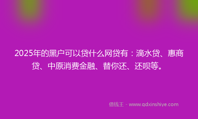 2025年的黑户可以贷什么网贷有：滴水贷、惠商贷、中原消费金融、替你还、还呗等。