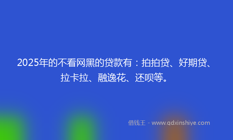 2025年的不看网黑的贷款有：拍拍贷、好期贷、拉卡拉、融逸花、还呗等。