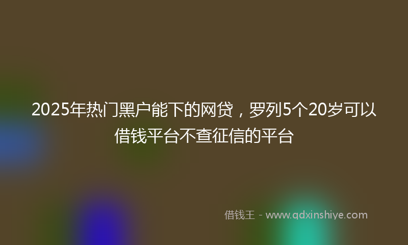 2025年热门黑户能下的网贷，罗列5个20岁可以借钱平台不查征信的平台
