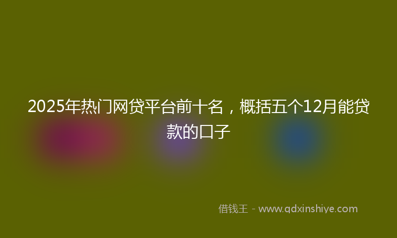 2025年热门网贷平台前十名，概括五个12月能贷款的口子