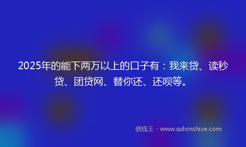 2025年的能下两万以上的口子有：我来贷、读秒贷、团贷网、替你还、还呗等。