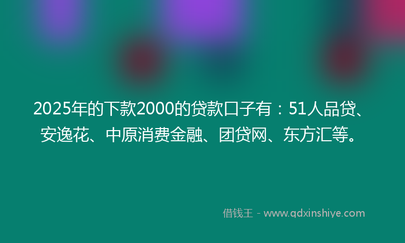 2025年的下款2000的贷款口子有：51人品贷、安逸花、中原消费金融、团贷网、东方汇等。