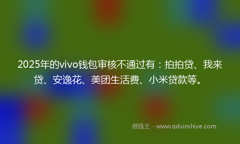 2025年的vivo钱包审核不通过有：拍拍贷、我来贷、安逸花、美团生活费、小米贷款等。