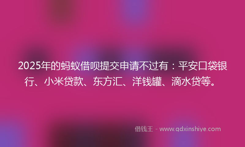 2025年的蚂蚁借呗提交申请不过有：平安口袋银行、小米贷款、东方汇、洋钱罐、滴水贷等。
