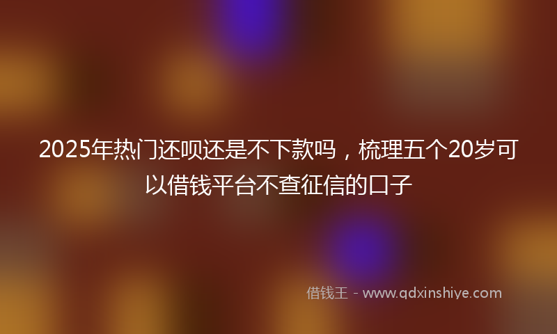 2025年热门还呗还是不下款吗，梳理五个20岁可以借钱平台不查征信的口子