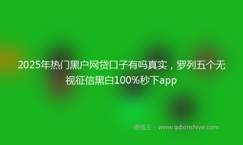 2025年热门黑户网贷口子有吗真实，罗列五个无视征信黑白100%秒下app
