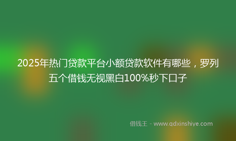 2025年热门贷款平台小额贷款软件有哪些，罗列五个借钱无视黑白100%秒下口子