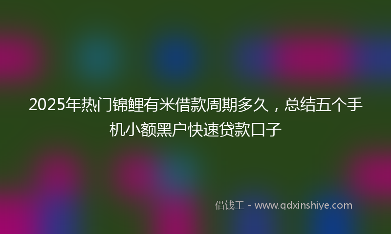 2025年热门锦鲤有米借款周期多久，总结五个手机小额黑户快速贷款口子