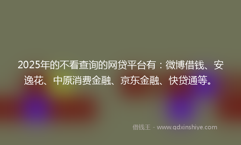2025年的不看查询的网贷平台有：微博借钱、安逸花、中原消费金融、京东金融、快贷通等。