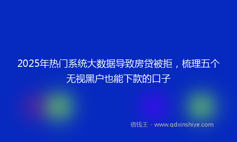 2025年热门系统大数据导致房贷被拒，梳理五个无视黑户也能下款的口子