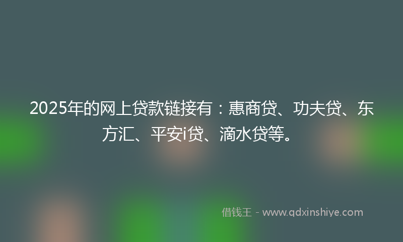2025年的网上贷款链接有：惠商贷、功夫贷、东方汇、平安i贷、滴水贷等。