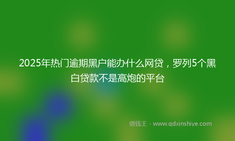 2025年热门逾期黑户能办什么网贷，罗列5个黑白贷款不是高炮的平台