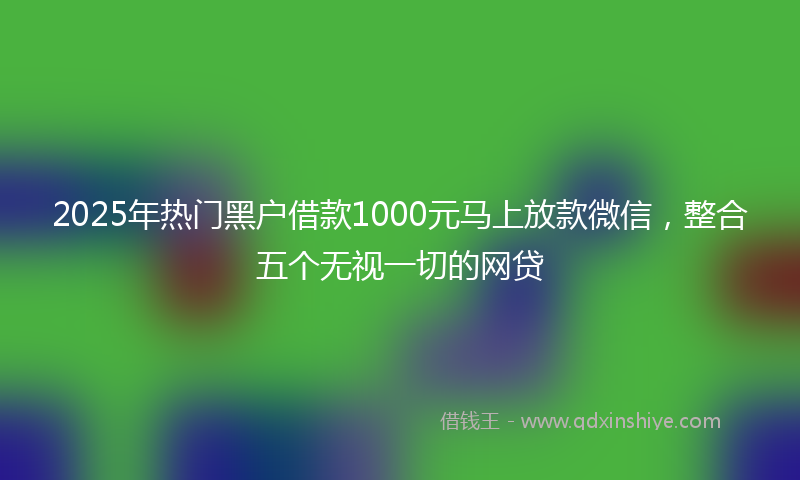 2025年热门黑户借款1000元马上放款微信，整合五个无视一切的网贷