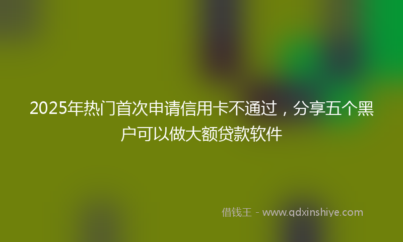 2025年热门首次申请信用卡不通过，分享五个黑户可以做大额贷款软件