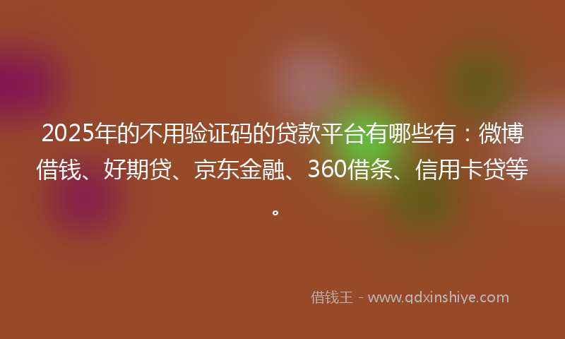 2025年的不用验证码的贷款平台有哪些有：微博借钱、好期贷、京东金融、360借条、信用卡贷等。