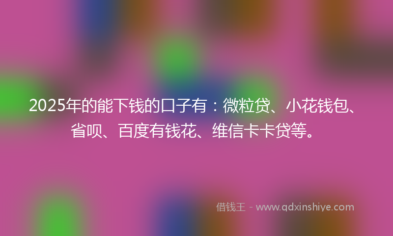 2025年的能下钱的口子有：微粒贷、小花钱包、省呗、百度有钱花、维信卡卡贷等。
