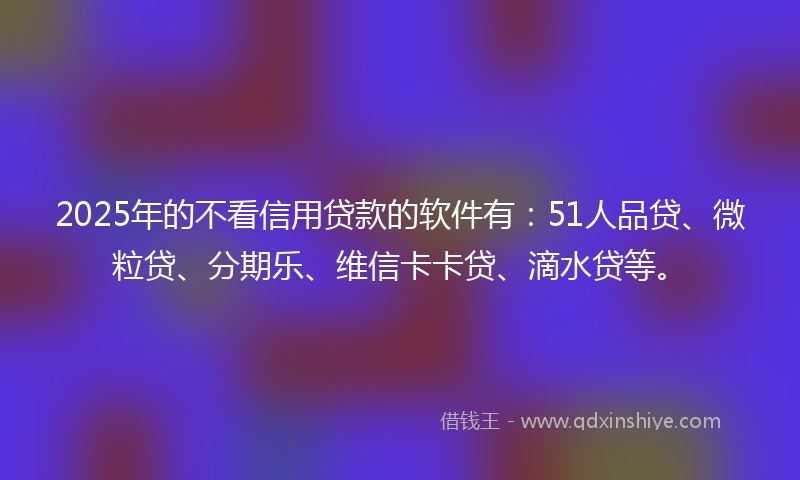 2025年的不看信用贷款的软件有：51人品贷、微粒贷、分期乐、维信卡卡贷、滴水贷等。