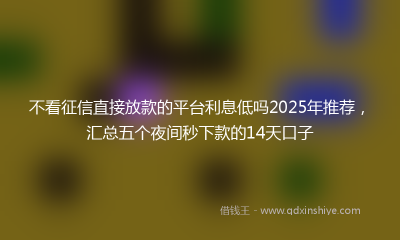 不看征信直接放款的平台利息低吗2025年推荐，汇总五个夜间秒下款的14天口子