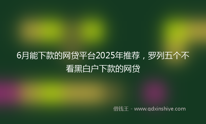 6月能下款的网贷平台2025年推荐，罗列五个不看黑白户下款的网贷