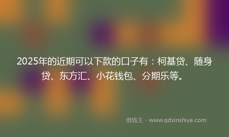 2025年的近期可以下款的口子有：柯基贷、随身贷、东方汇、小花钱包、分期乐等。