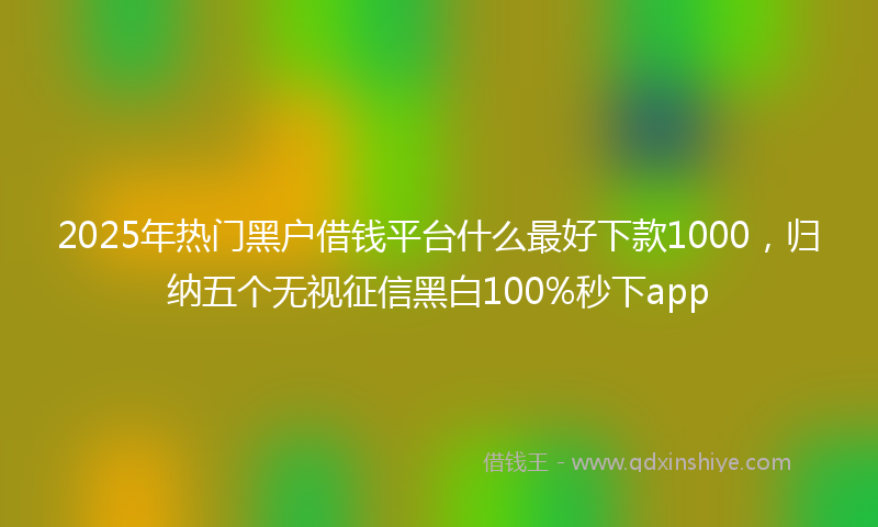 2025年热门黑户借钱平台什么最好下款1000，归纳五个无视征信黑白100%秒下app