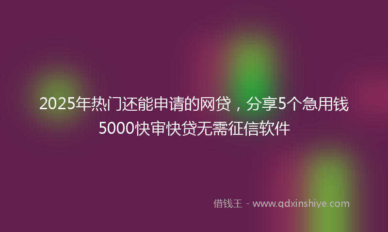 2025年热门还能申请的网贷，分享5个急用钱5000快审快贷无需征信软件