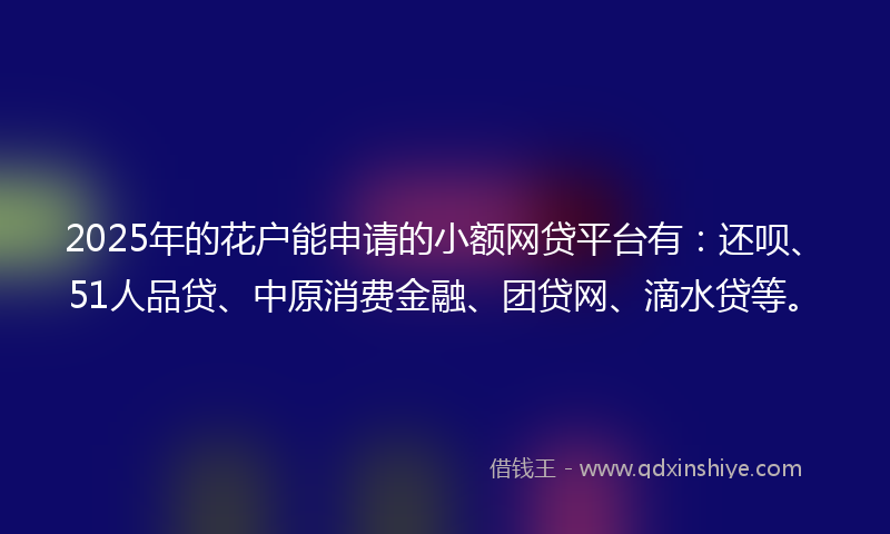 2025年的花户能申请的小额网贷平台有：还呗、51人品贷、中原消费金融、团贷网、滴水贷等。