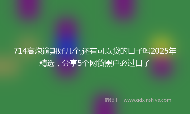 714高炮逾期好几个,还有可以贷的口子吗2025年精选,分享5个网贷黑户必过口子