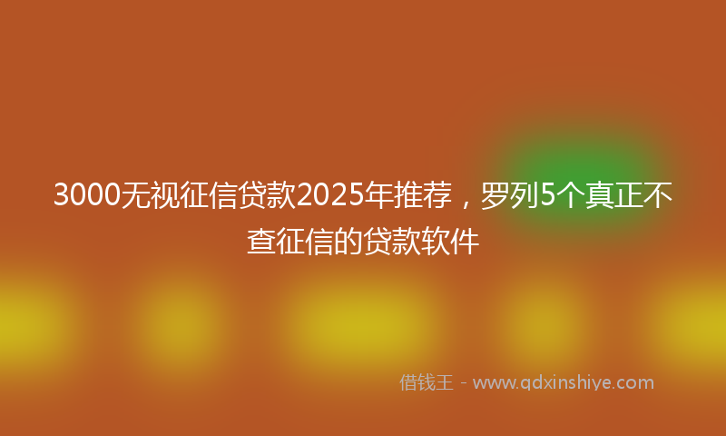 3000无视征信贷款2025年推荐，罗列5个真正不查征信的贷款软件