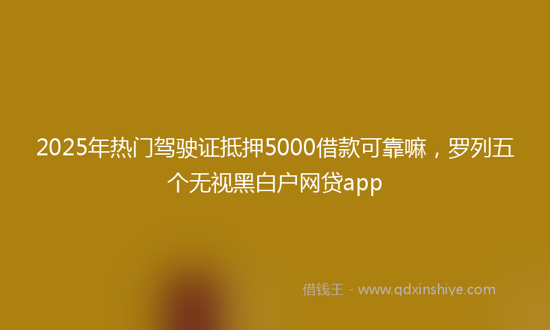 2025年热门驾驶证抵押5000借款可靠嘛，罗列五个无视黑白户网贷app