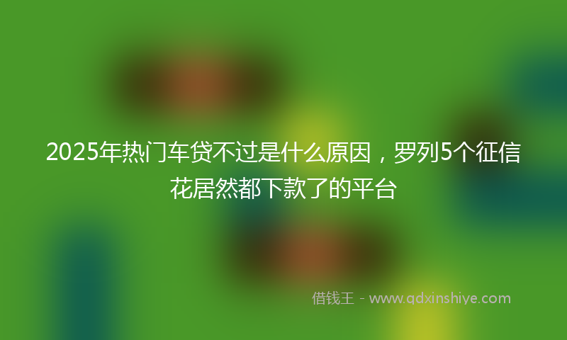 2025年热门车贷不过是什么原因，罗列5个征信花居然都下款了的平台