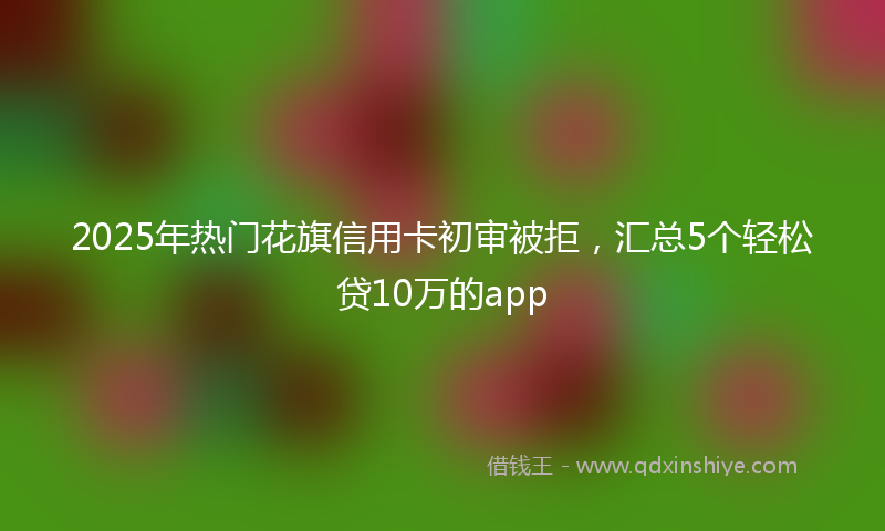 2025年热门花旗信用卡初审被拒，汇总5个轻松贷10万的app