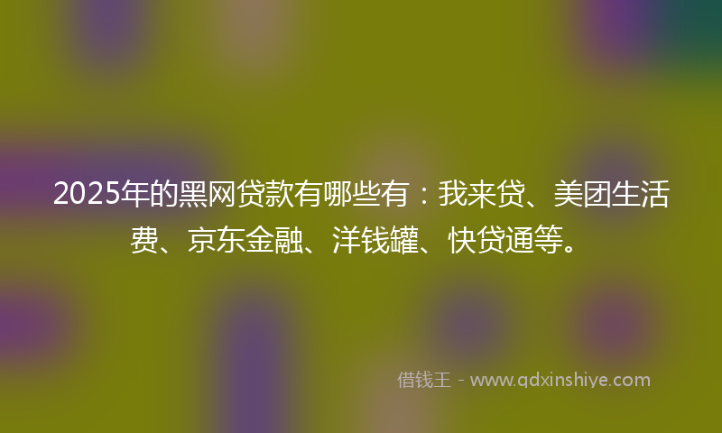 2025年的黑网贷款有哪些有：我来贷、美团生活费、京东金融、洋钱罐、快贷通等。