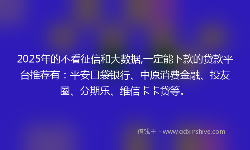 2025年的不看征信和大数据,一定能下款的贷款平台推荐有：平安口袋银行、中原消费金融、投友圈、分期乐、维信卡卡贷等。