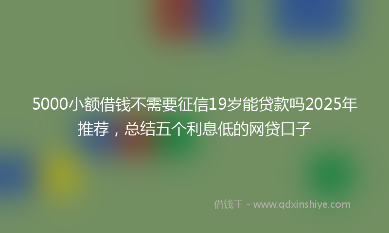 5000小额借钱不需要征信19岁能贷款吗2025年推荐,总结五个利息低的网贷口子