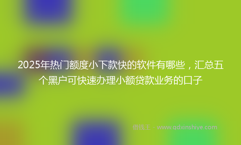 2025年热门额度小下款快的软件有哪些，汇总五个黑户可快速办理小额贷款业务的口子