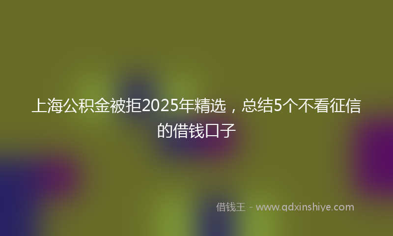 上海公积金被拒2025年精选，总结5个不看征信的借钱口子