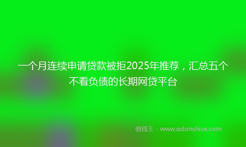一个月连续申请贷款被拒2025年推荐，汇总五个不看负债的长期网贷平台