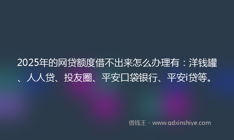 2025年的网贷额度借不出来怎么办理有：洋钱罐、人人贷、投友圈、平安口袋银行、平安i贷等。
