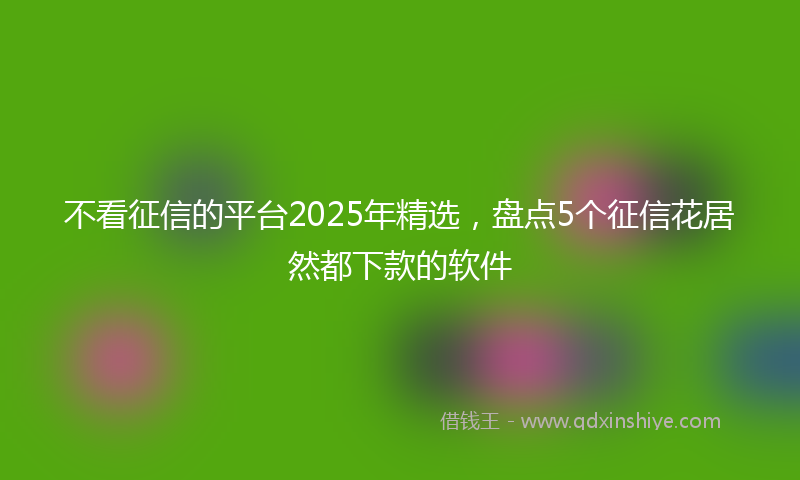 不看征信的平台2025年精选，盘点5个征信花居然都下款的软件