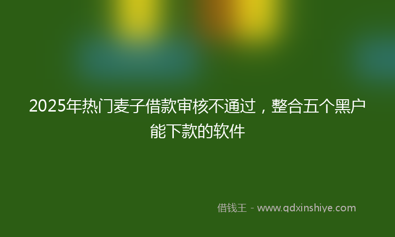 2025年热门麦子借款审核不通过,整合五个黑户能下款的软件